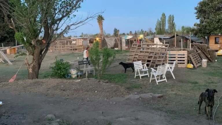 La Asociación Salvando Patas necesita de nuestra ayuda: una lucha por encontrar un nuevo hogar para los animales rescatados