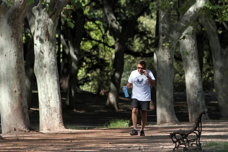 El tiempo en Mendoza: jueves con ascenso de la temperatura y heladas en el Valle de Uco