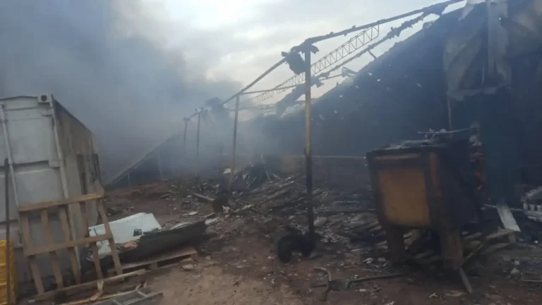 Fotos: se incendió un galpón avícola en Las Heras