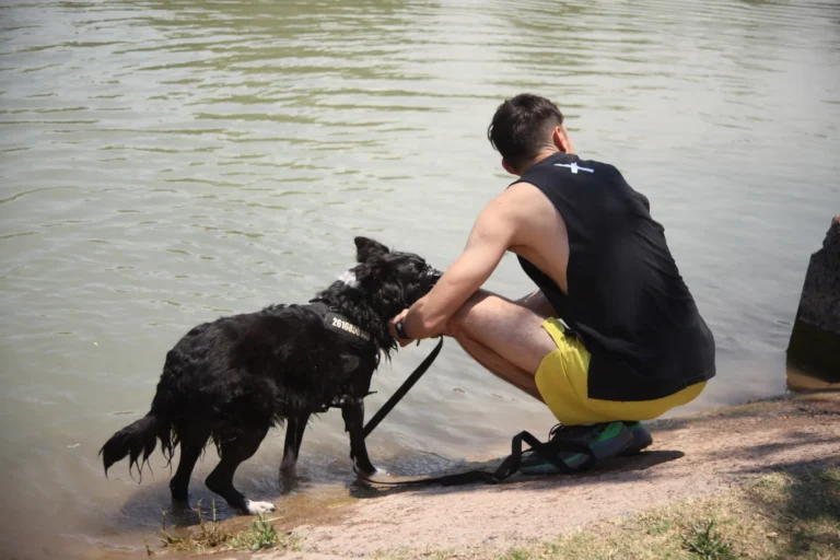 Caluroso y con tormentas aisladas: así estará el tiempo en Mendoza