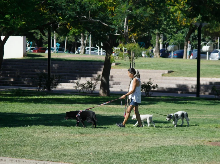 Día de calor, noche de tormenta: así estará el tiempo en Mendoza este lunes