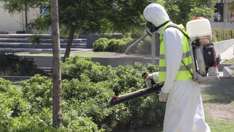Dengue en Mendoza: Salud confirmó que estudia casos sospechosos de dengue
