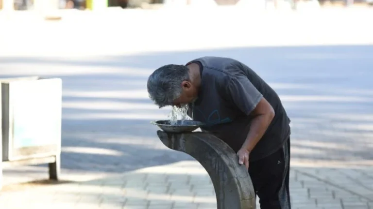 Pronóstico: sigue el calor, pero se esperan tormentas aisladas para la noche