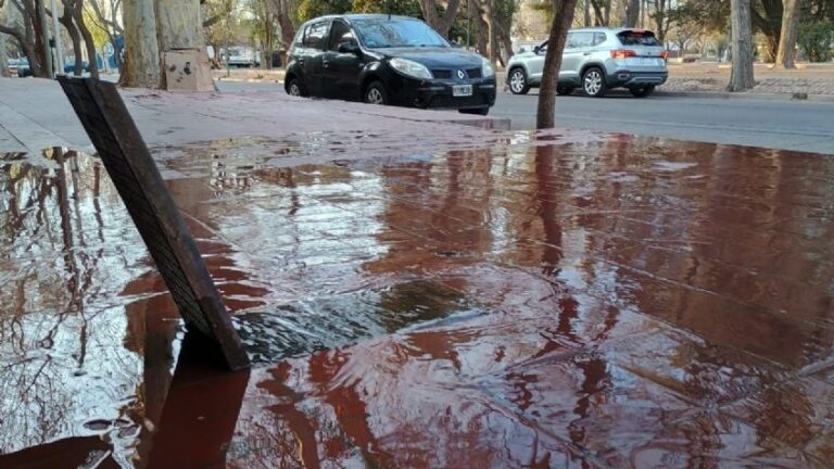 Dos menores fueron detenidos por robar medidores de agua en Ciudad