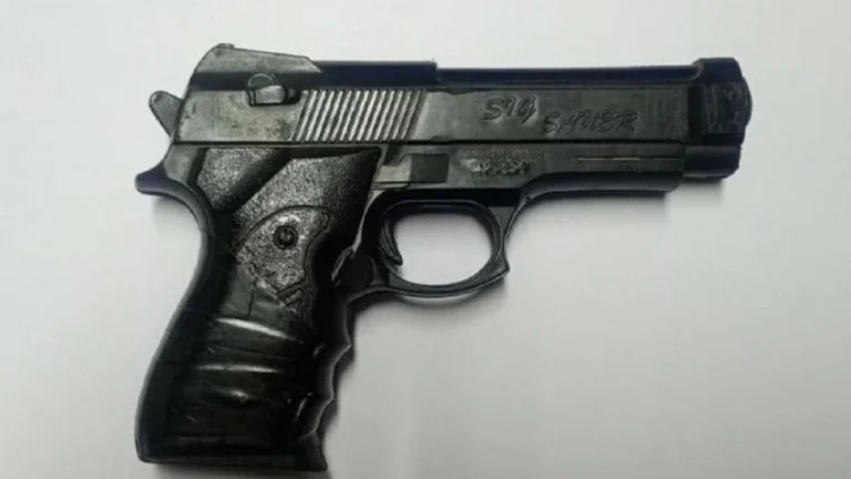 Armas de fuego, cocaína y 6 detenidos fue el saldo de una serie de operativos en el Gran Mendoza