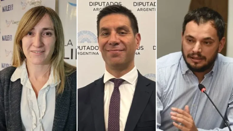 La reacciones luego de que la UNCuyo declaró personas no gratas a los diputados libertarios mendocinos