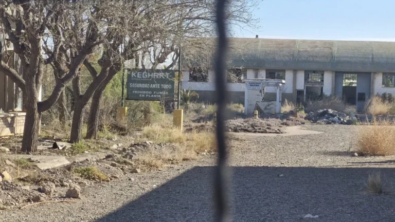 Los dueños de un predio en Chacras de Coria deberán remediar la contaminación que dejó una empresa