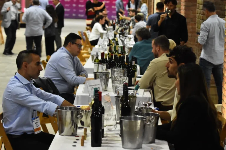 Importadores de 6 países, seducidos por el vino de Mendoza: “Su relación precio-calidad no tiene comparación”