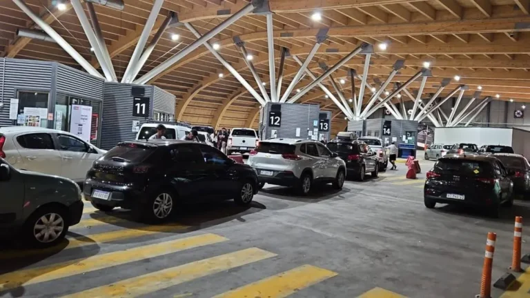 Hay demoras de 4 horas en el paso a Chile en la previa del Black Friday