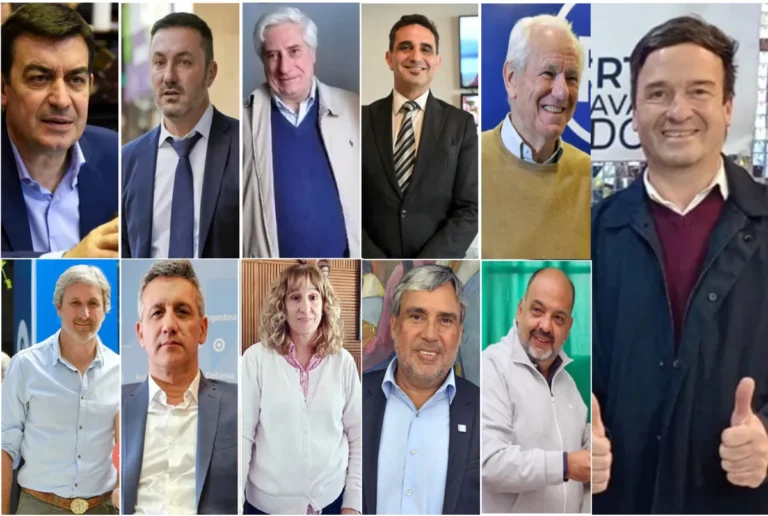 Cuál es el patrimonio que declararon los funcionarios mendocinos de Javier Milei