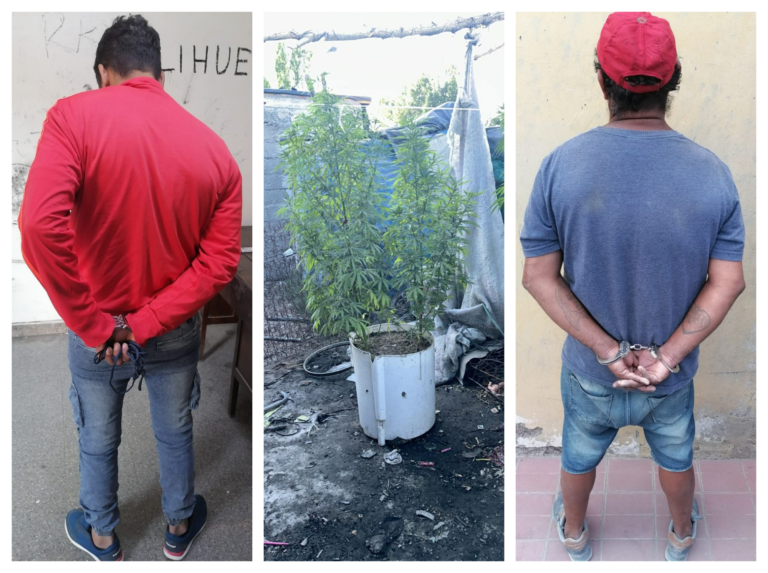 Desarticularon una red delictiva dedicada a robar durante once allanamientos en Guaymallén