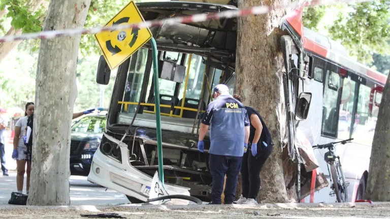 El momento en que el chofer perdió el control del micro e impactó contra un árbol