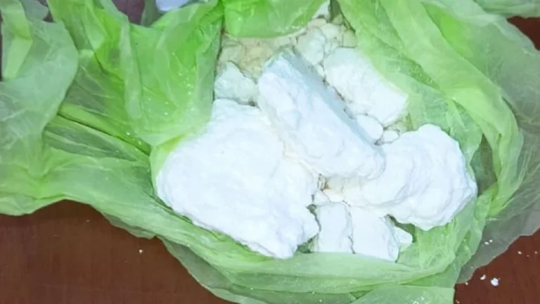 Golpe al narcotráfico en Las Heras: detuvieron a dos mujeres e incautaron cocaína y millones de pesos