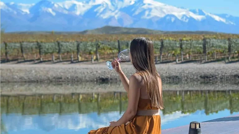 Mendoza fue la más buscada del Cyber Monday 2024 como destino enoturístico del país