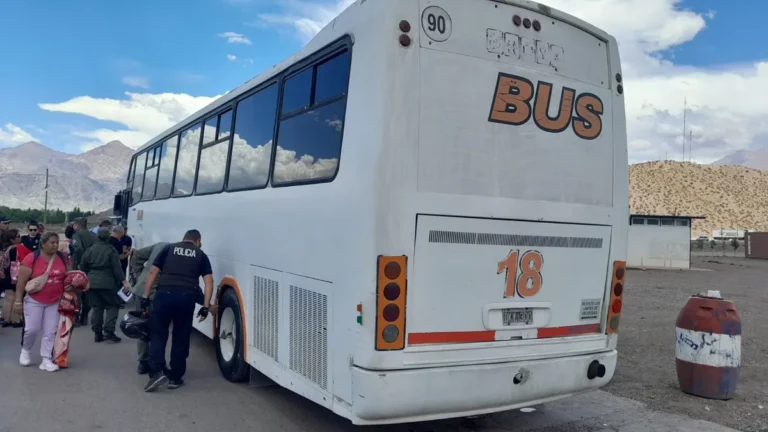 Los tours de compras a Chile deberían salir de la terminal, consideró el Gobierno