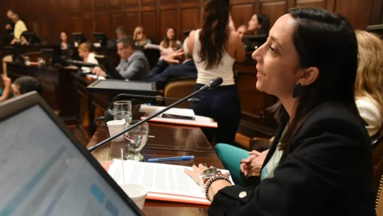 El Senado dio media sanción al proyecto de ficha limpia para docentes y personal educativo en Mendoza