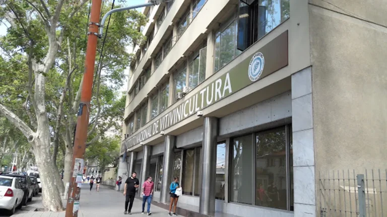 El INV eliminó un trámite para que más bodegas puedan usar el sello de Indicación Geográfica