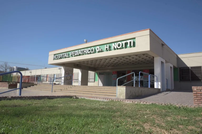 Junín: una niña de 10 años quedó grave luego de que un portón le cayó encima