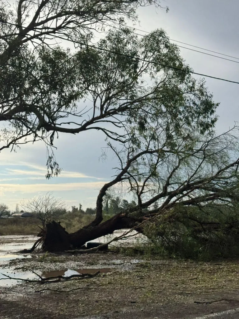 El tiempo en Mendoza para este martes: el calor no cede y continúa el alerta por tormentas y granizo