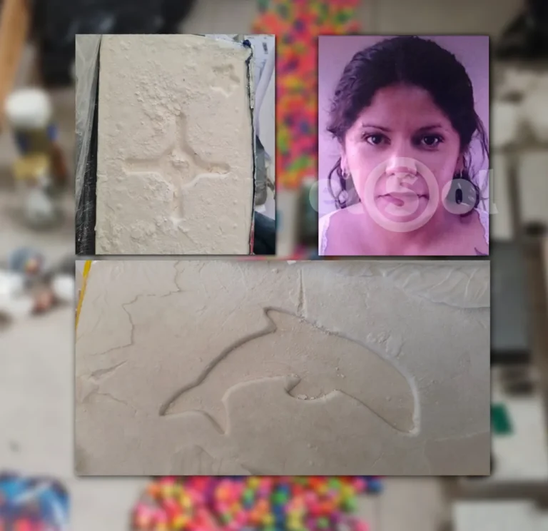 La mujer detrás del hallazgo de 12 kilos de cocaína y la búsqueda de la organización criminal