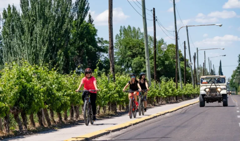 El dato que posiciona a Mendoza como uno de los destinos turísticos más elegidos por los extranjeros