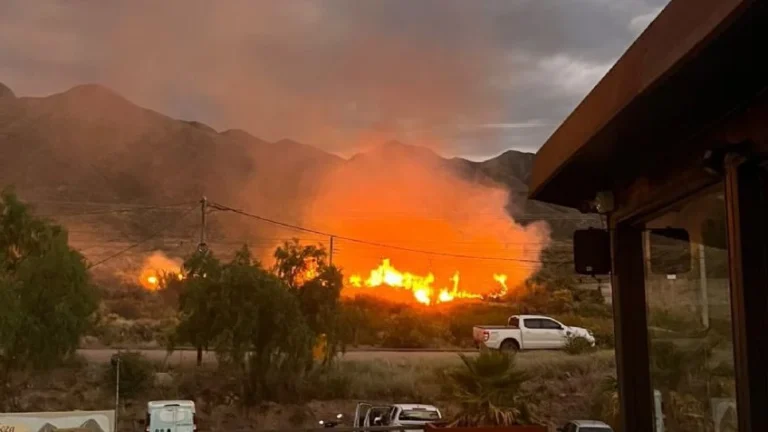 Preocupación por un impactante incendio en la Ruta 82, en Luján de Cuyo