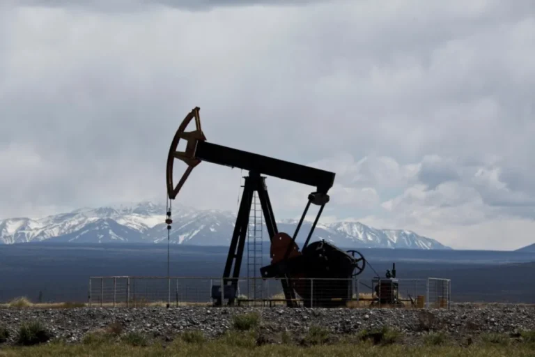 La Provincia dio luz verde a la venta de una de las áreas maduras de YPF