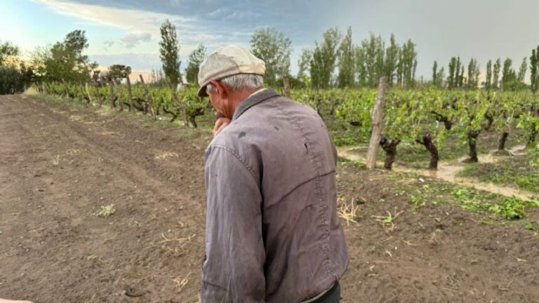 En qué consiste el millonario contrato entre el gobierno de Mendoza y “Argeninta”