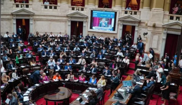 Diputados aprobó la suspensión de las PASO para este año