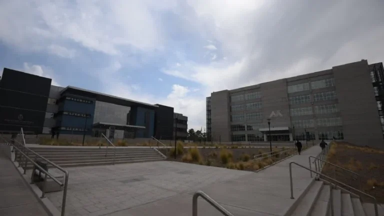 Escándalo en el Polo Judicial: un perito contable acosó a una colega en plena audiencia