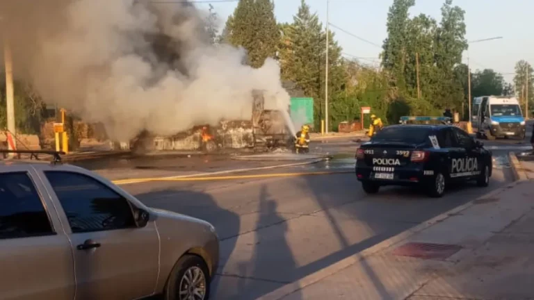 Las primeras pruebas que complican al chofer del micro por el accidente en Maipú