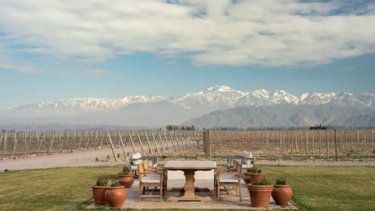 Cornejo y Michelin anunciaron que la famosa guía gastronómica se presentará en Mendoza el 7 de abril