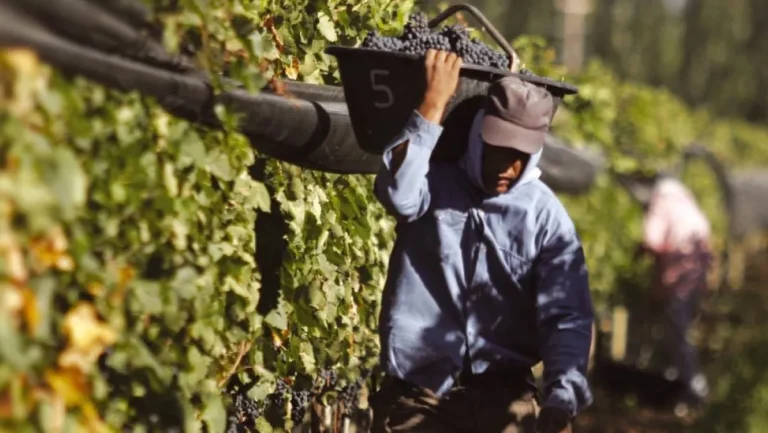 El titular del Banco Nación anunció créditos baratos para productores y exportadores mendocinos