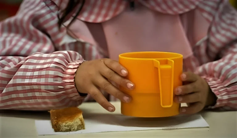 Chau tortitas: cambió la merienda saludable en las escuelas de Mendoza