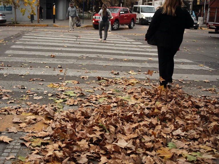 Viento Zonda en Mendoza: qué pasará con las clases este viernes