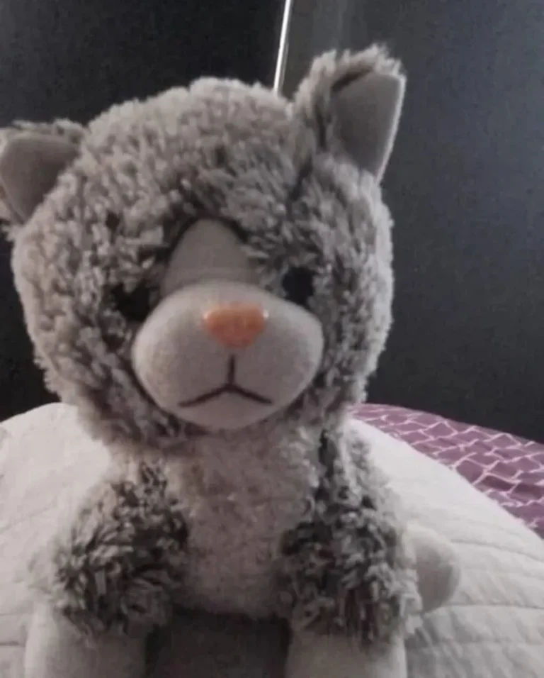 El oso de peluche del niño autista que fue rehén y motivo de una extorsión por $200.000