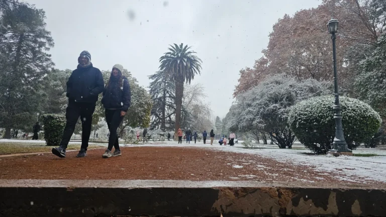 Mendoza sin clases y congelada: así estará el tiempo en un lunes con frío extremo