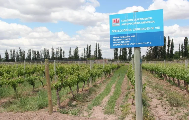 Entidades del agro mendocino rechazan el ajuste del INTA que impulsa el Gobierno nacional