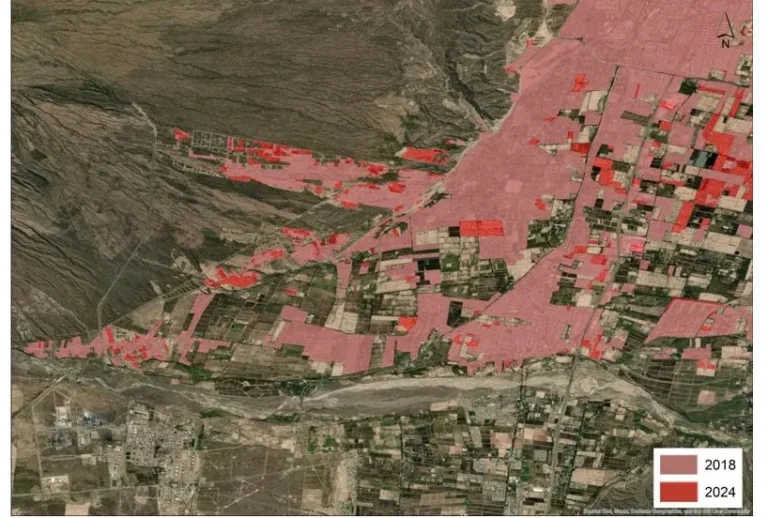 ¿Dónde eligen vivir los mendocinos? Este es el departamento con mayor crecimiento urbano