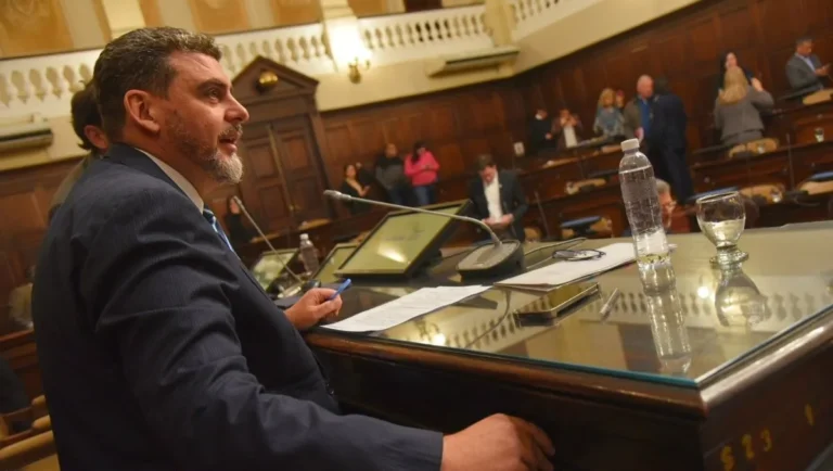 El Senado dio luz verde para suspender las PASO pero el proyecto deberá volver a Diputados