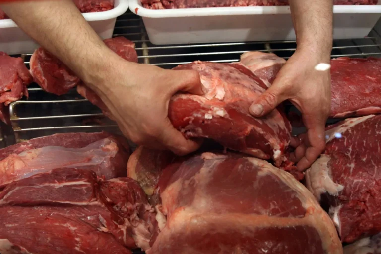 Un peligro: decomisaron casi 300 kilos de carne en mal estado en Las Heras
