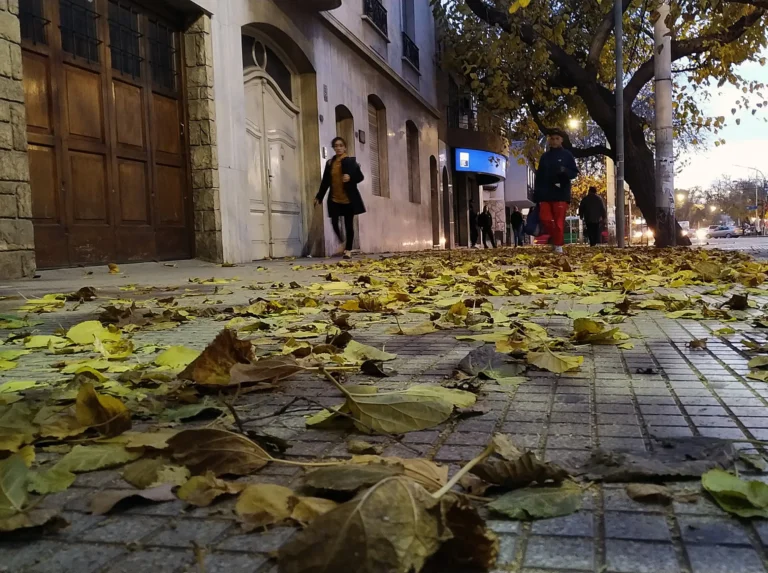 El tiempo en Mendoza para este jueves: el efecto Zonda eleva la temperatura