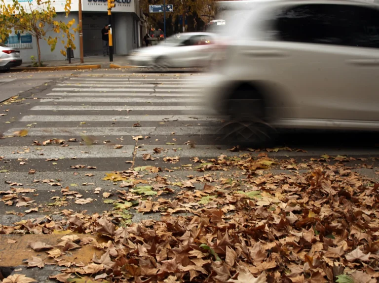 El tiempo en Mendoza para este miércoles: Zonda y nevadas en cordillera