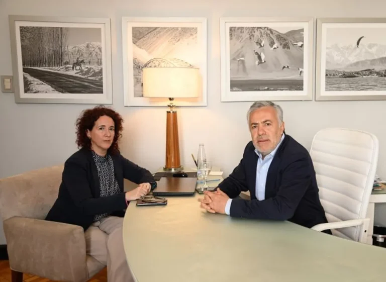 Alfredo Cornejo propuso a la titular del EPRE para cubrir una vacante en el Tribunal de Cuentas