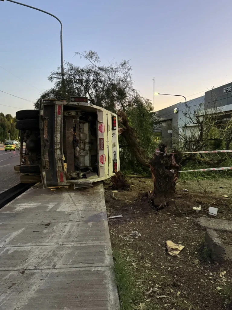 Un camión de la basura chocó y volcó en la Costanera
