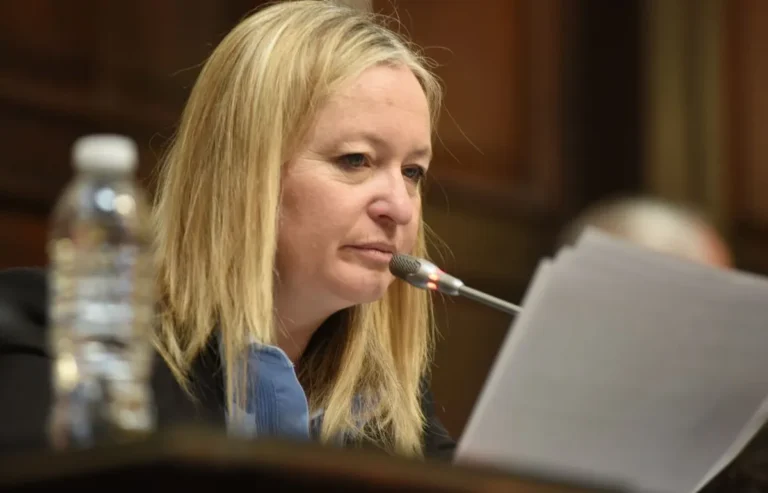 Hebe Casado desempató y se aprobó en el Senado la reforma del Estatuto del Empleado Público