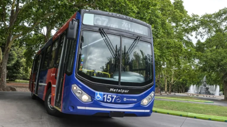 El transporte público en las elecciones será gratis: horarios y frecuencias