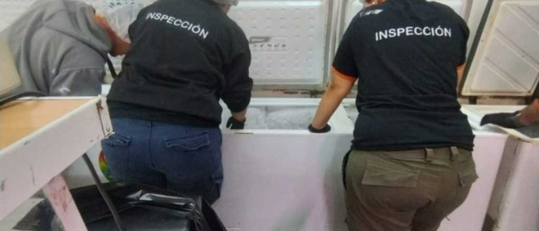Secuestraron 800 kilos de carne en mal estado en tres lugares de Mendoza