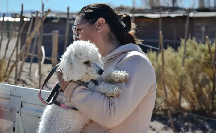 Guaymallén inaugurará un nuevo centro de atención para perros y gatos del departamento