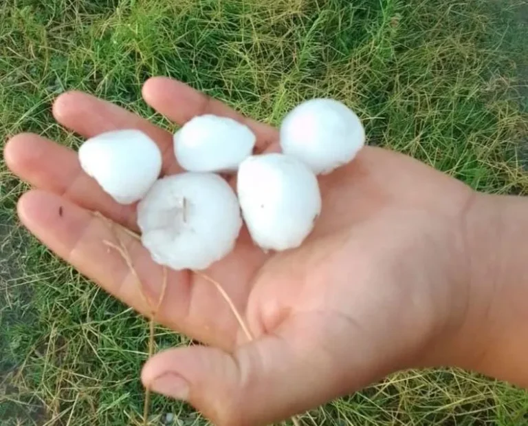 Cayó granizo en varios sectores de Mendoza y las tormentas seguirán hasta la noche